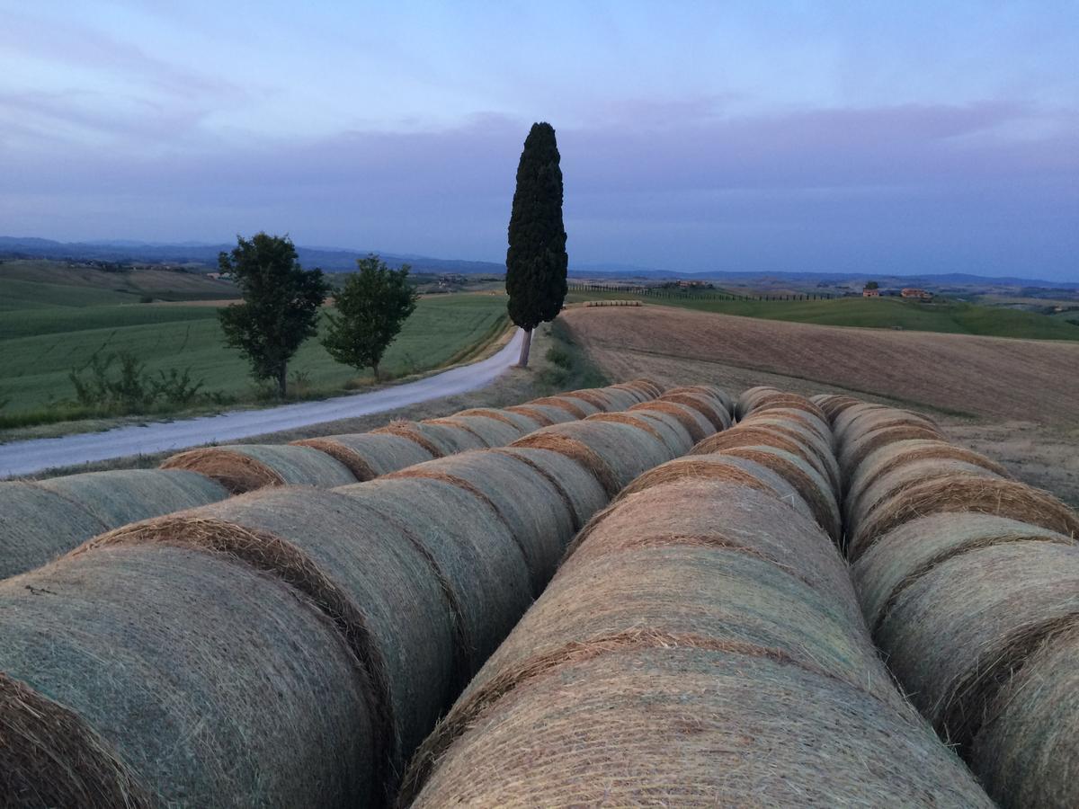 Tenuta Di Corsano Monteroni d'Arbia Luaran gambar