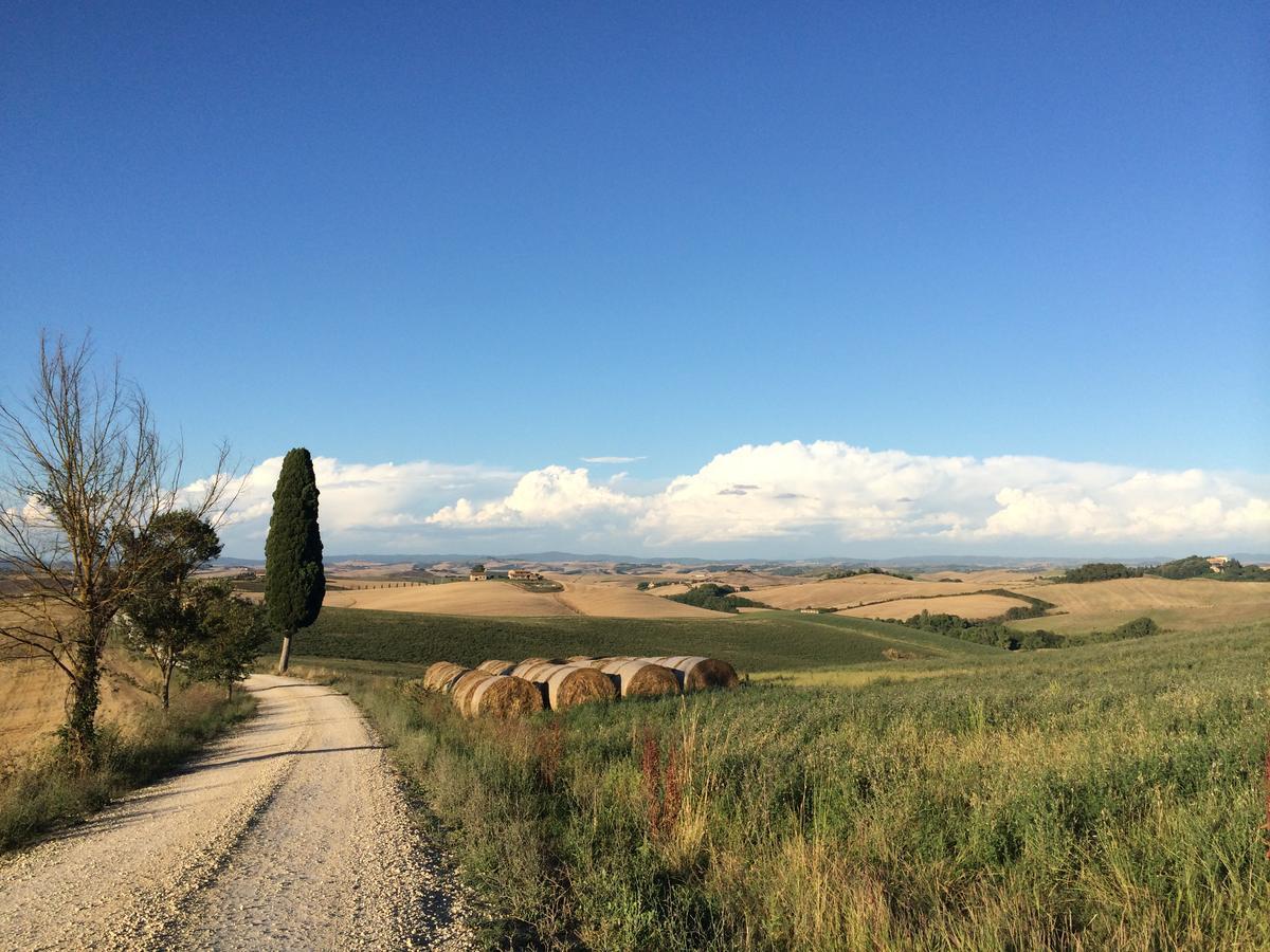 Tenuta Di Corsano Monteroni d'Arbia Luaran gambar